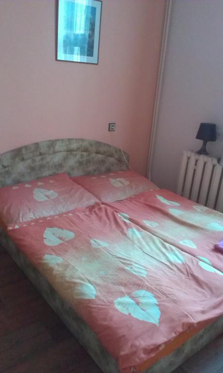 Pension Doctor Dvůr Králové nad Labem Habitación foto